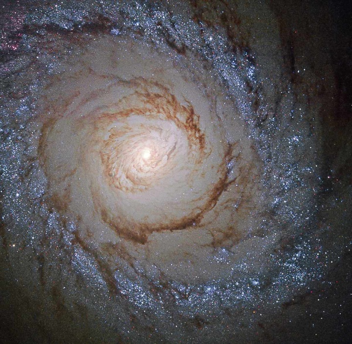 Die Starburstgalaxie Messier 94