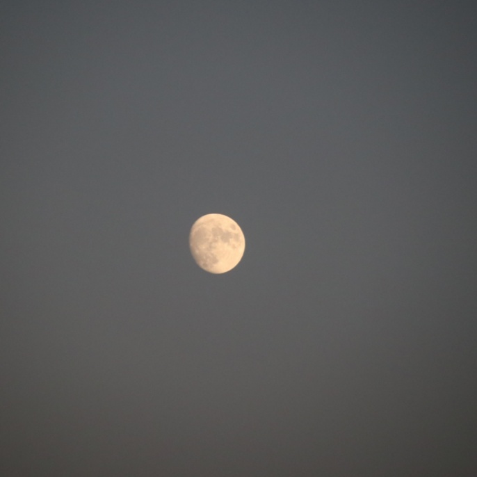 Mond am 07. 09.2022 - fotografiert in Palmdale