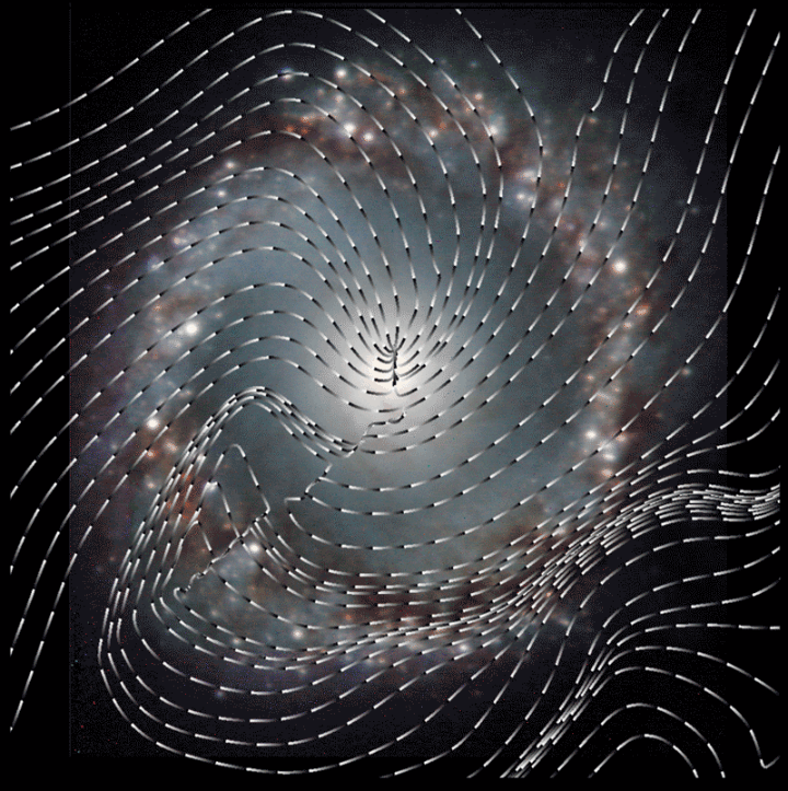 Diese Abbildung zeigt die Ausrichtung der Magnetfeldlinien und die Bewegungsrichtung der Materie entlang derselben im zentralen 1 Kiloparsec (~3262 Lichtjahre) großen Starburst-Ring der Spiralgalaxie NGC 1097 anhand von Daten aus polarimetrischen Radiobeobachtungen.  Copyright: Lopez-Rodriguez et al.
