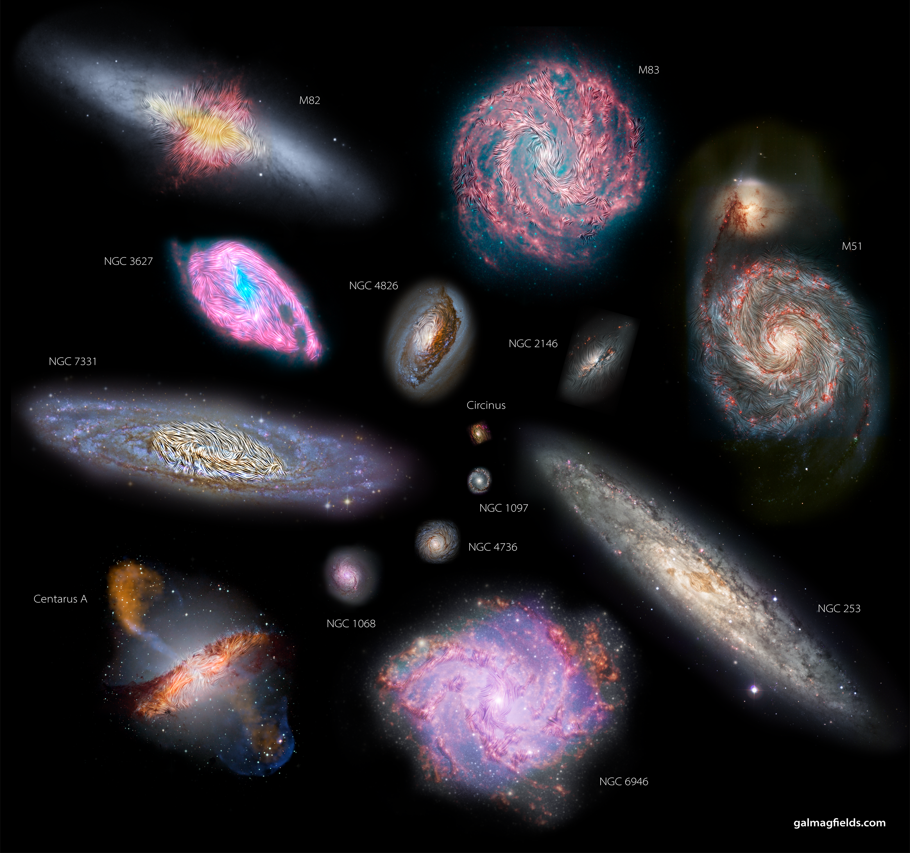 SALSA - Survey of Extragalactic Magnetism with SOFIA